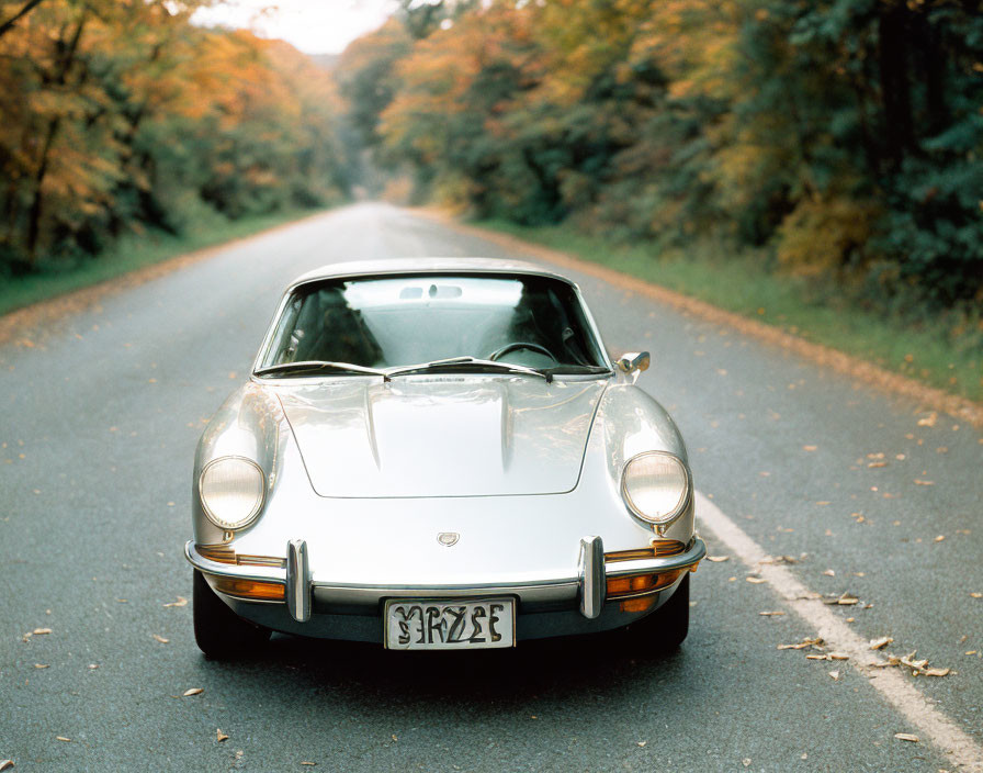 Silver sports car parked on forest road with fall foliage.