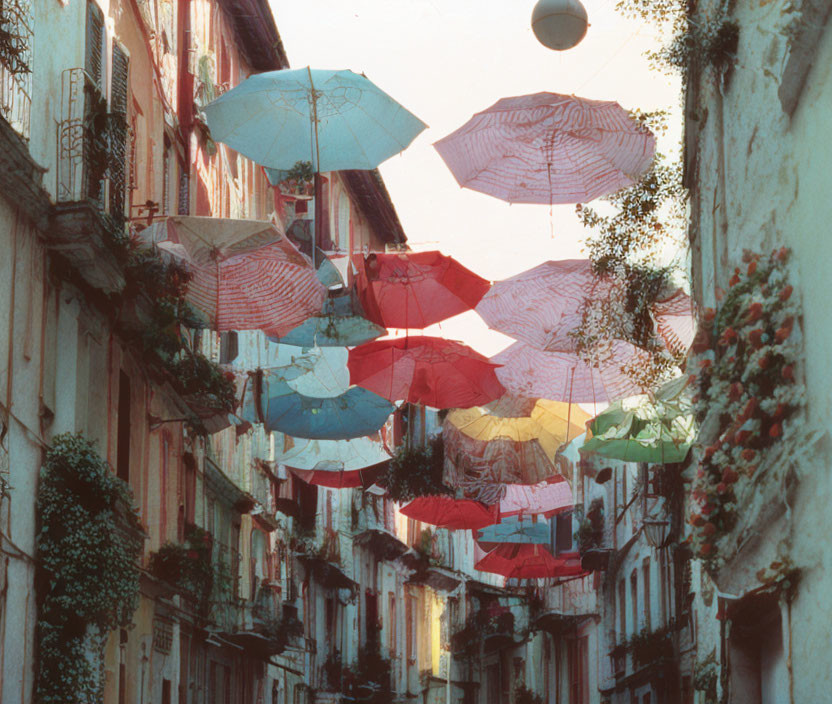 Vibrant umbrellas over quaint street with flowers and old buildings