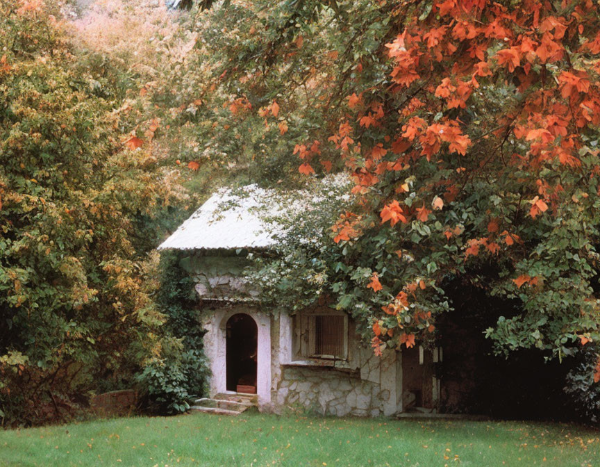 Stone cottage with white door in autumn woodland landscape