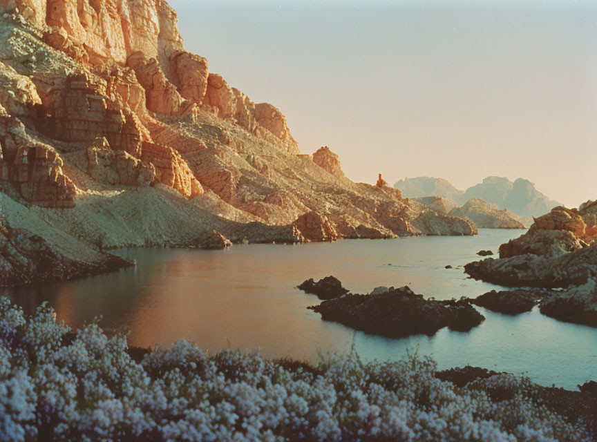 Scenic view of rugged cliffs, calm waters, and blooming bushes