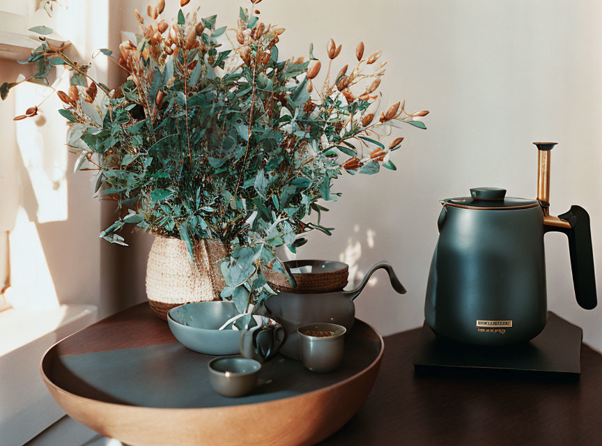 Tranquil Home Decor with Potted Plant, Green Kettle, and Cups