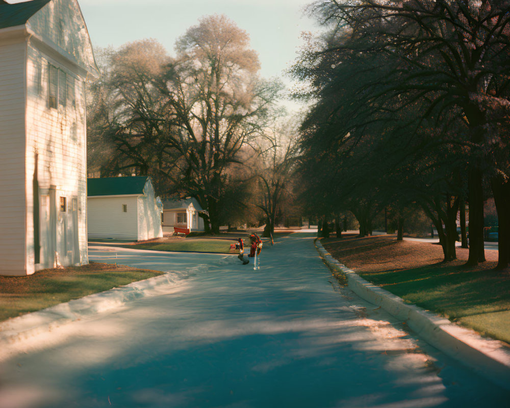 Tranquil Suburban Street Scene with Trees, Stroller, and White House