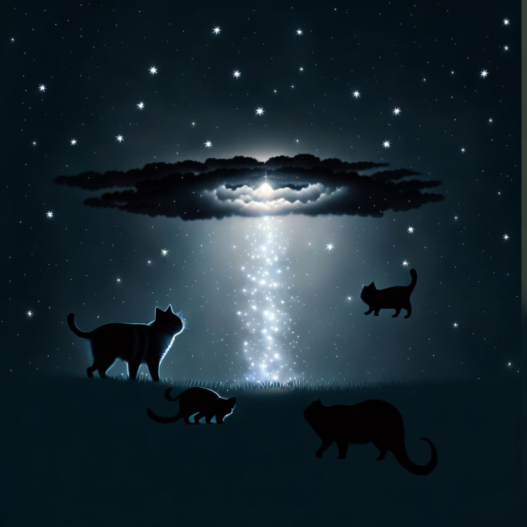 Silhouetted cats on grassy field under celestial event