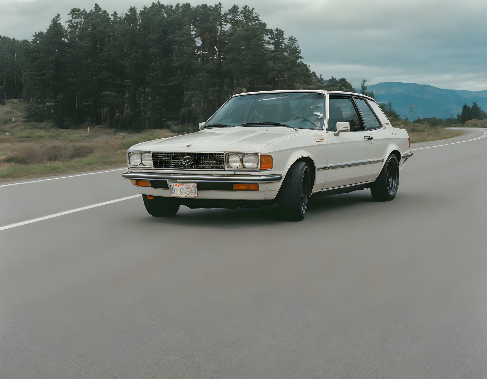 Vintage white station wagon on highway with pine trees under overcast skies