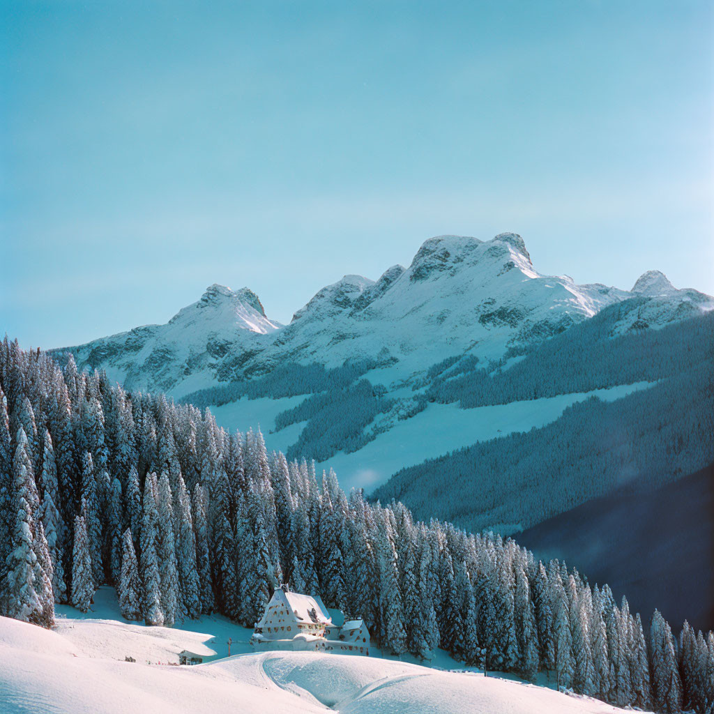 Snow-covered mountains, frosted pine forest, isolated building: serene winter landscape