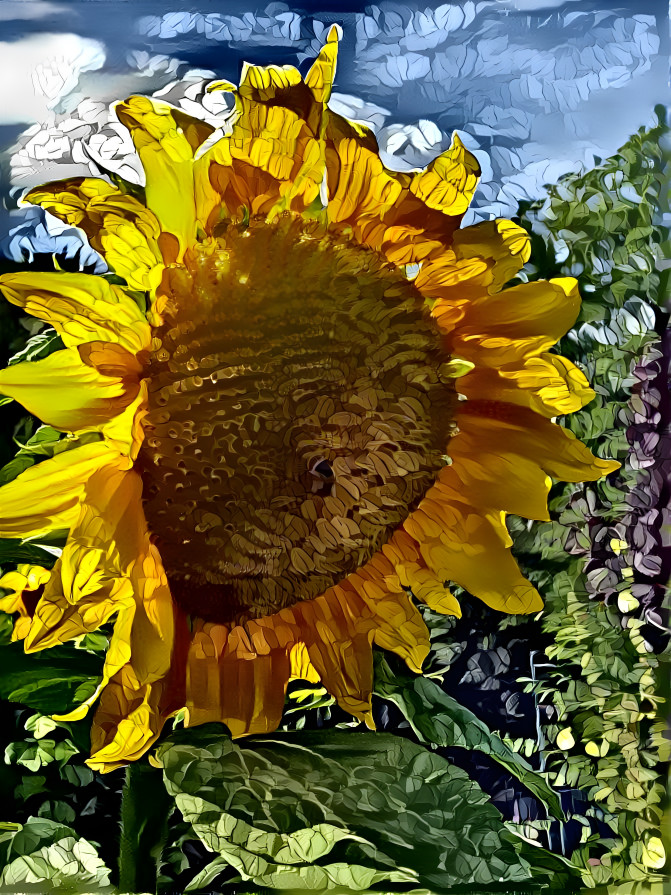 Sunflower Details