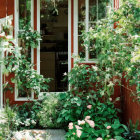 House window surrounded by greenery and flowers, peeking into a cozy interior