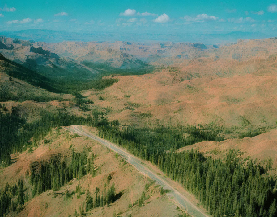 Forest Road Surrounded by Hills and Blue Sky