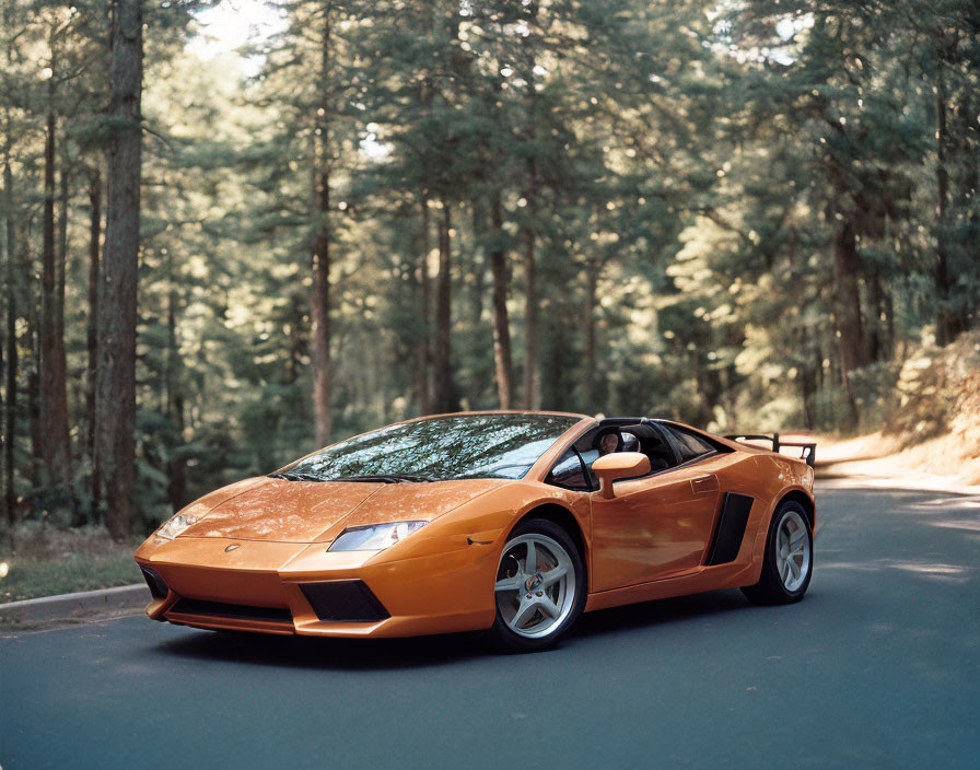 Vibrant orange Lamborghini Murcielago on forest-lined asphalt road