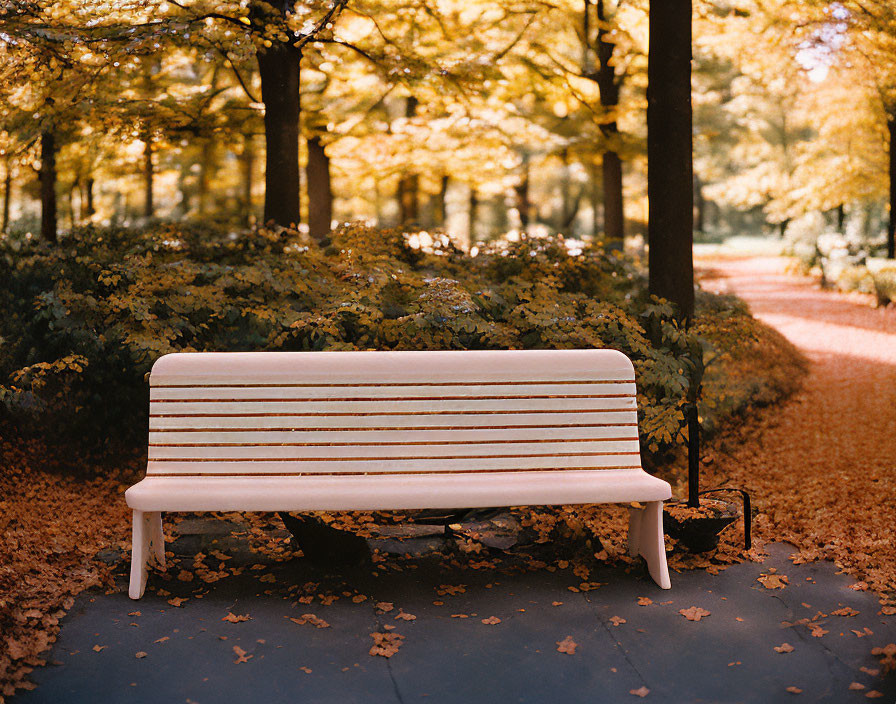 White Bench Surrounded by Autumn Leaves on Peaceful Park Pathway