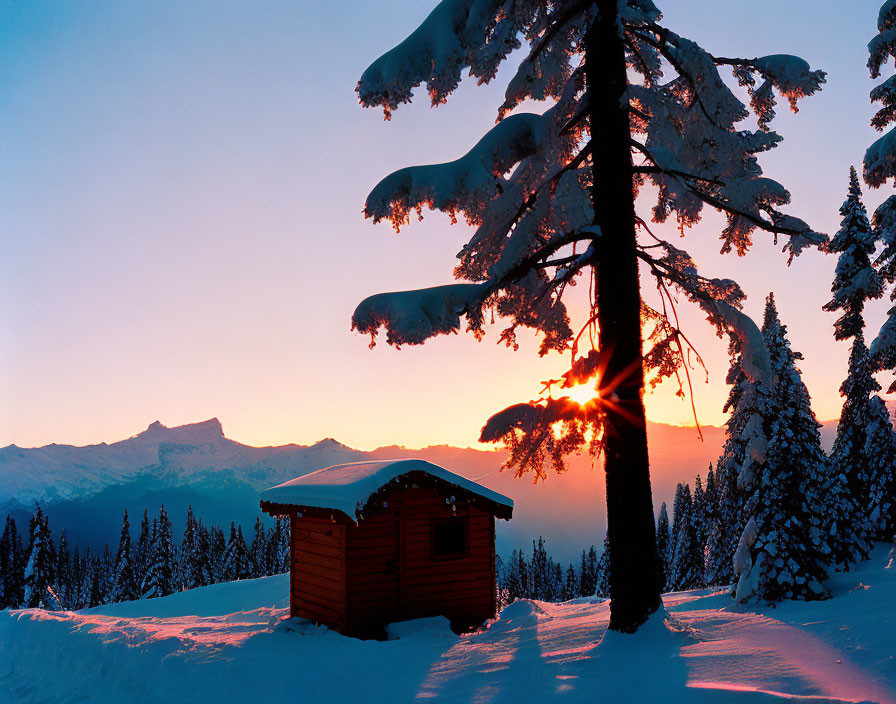 Winter sunset scene with red cabin, snow-covered trees, and distant mountains.