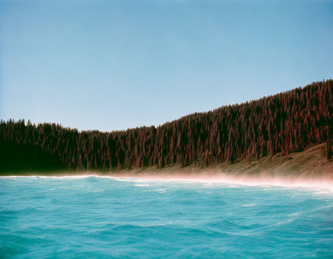 Tranquil Blue Lake with Mist, Coniferous Forest, Clear Sky