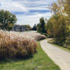 Vibrant flower-filled meadow with path to village by the sea