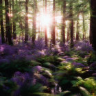 Tranquil forest scene at sunset with tall trees and purple flowers by water