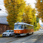 Orange tram on rain-slicked street with autumn trees and parked car