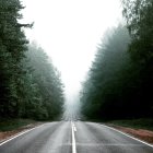 Foggy forest road with misty trees on slopes