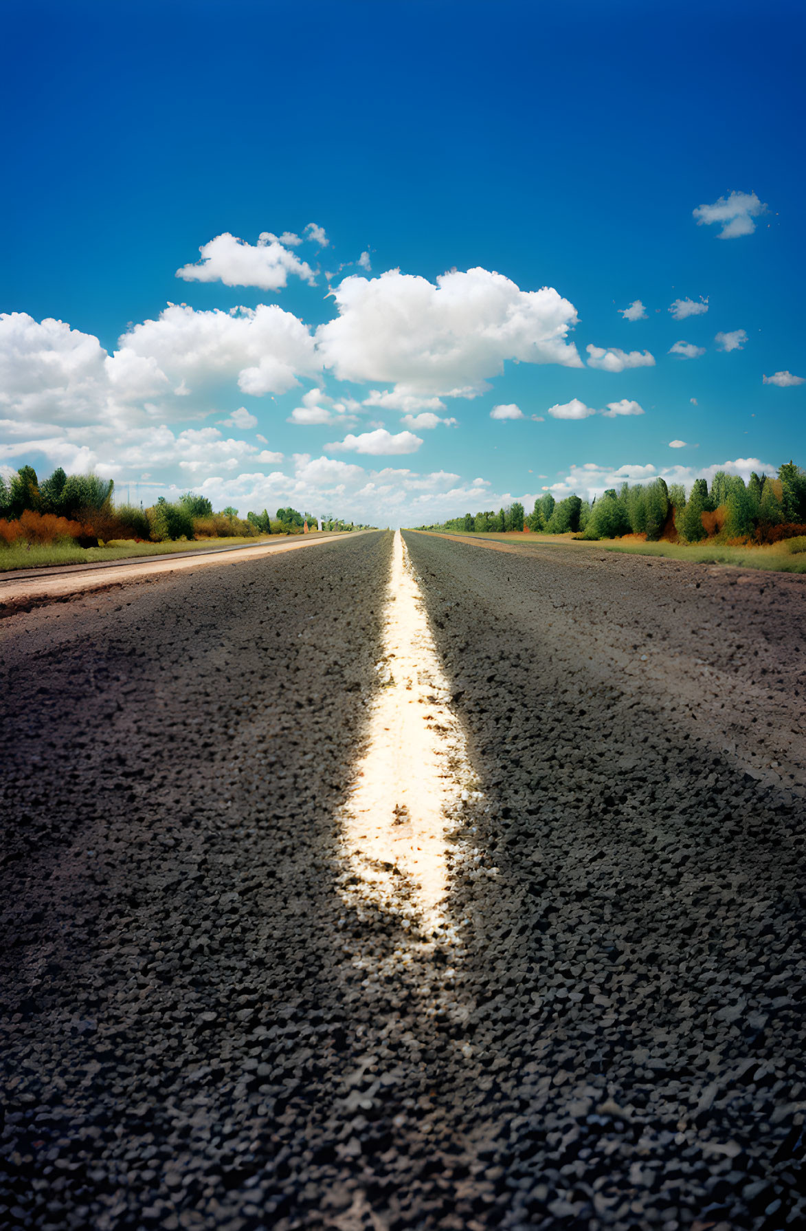 Empty road under blue sky with trees and sunlight reflections