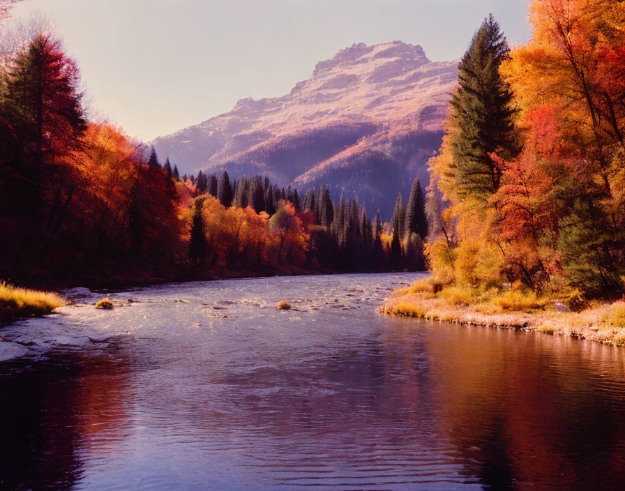 Tranquil autumn landscape with river, colorful forest, and distant mountain