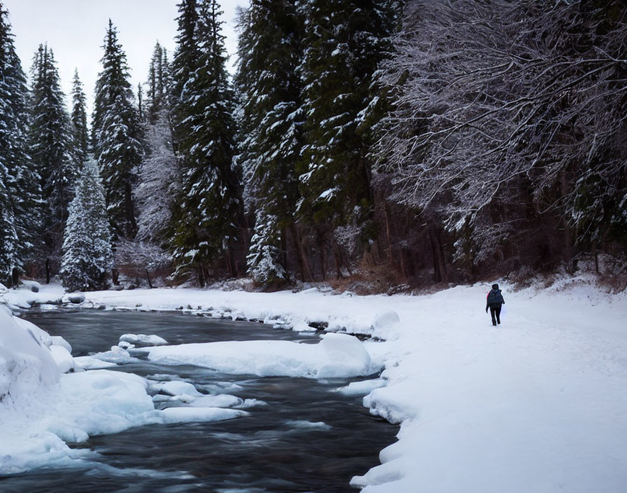 Winter scene: Person walking by frozen river and snow-covered trees