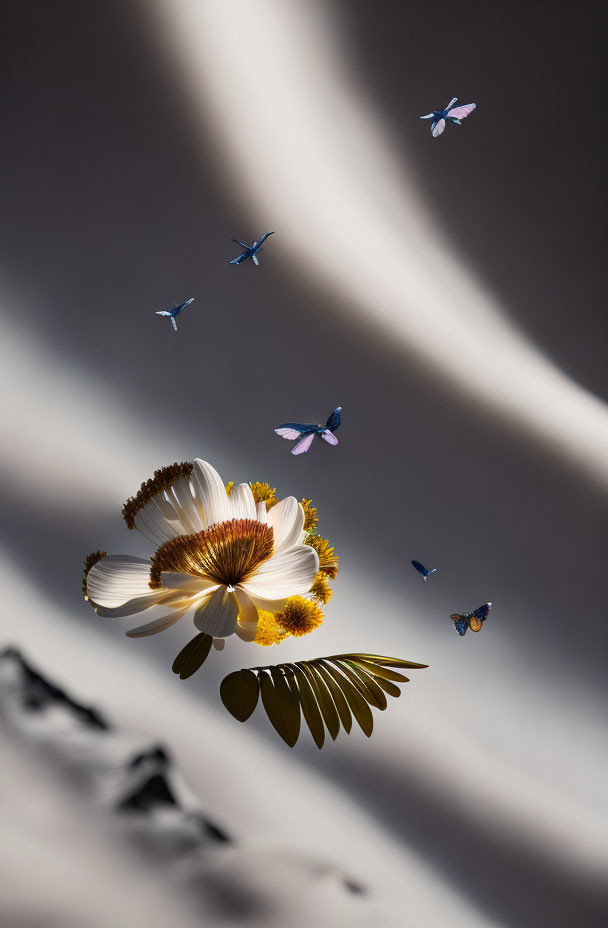 White Flower and Butterflies in Sunlight on Grey Surface