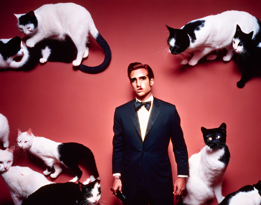 Man in Black Suit and Bow Tie Surrounded by Cats on Red Background