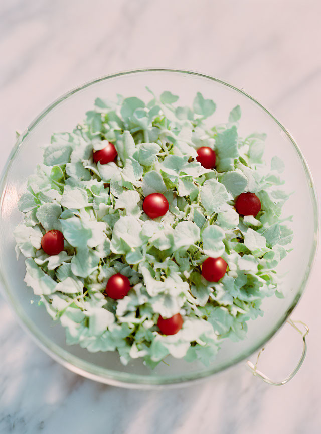 Fresh Green Salad with Cherry Tomatoes on Marble Surface