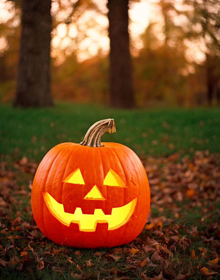 Smiling face carved pumpkin amid fallen leaves and tree in background