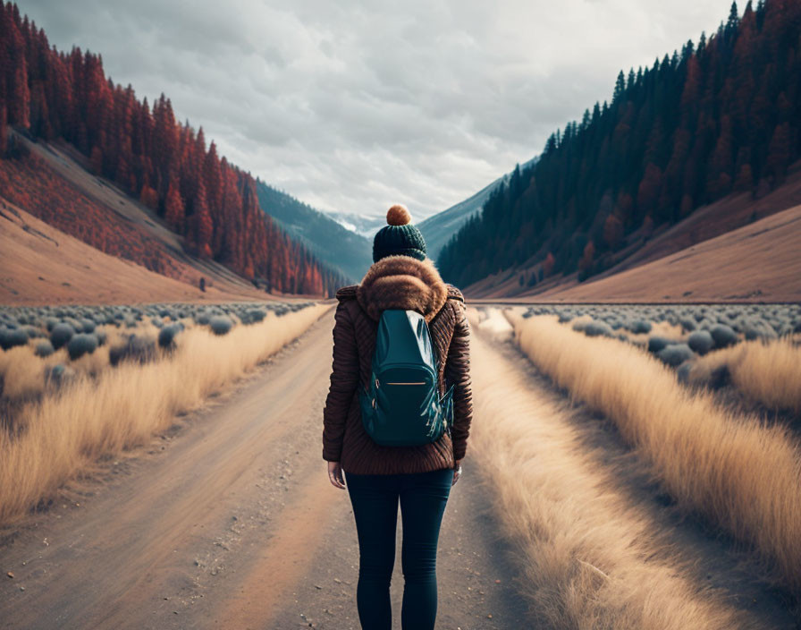 Person walking down dirt road surrounded by red-leafed trees under cloudy sky