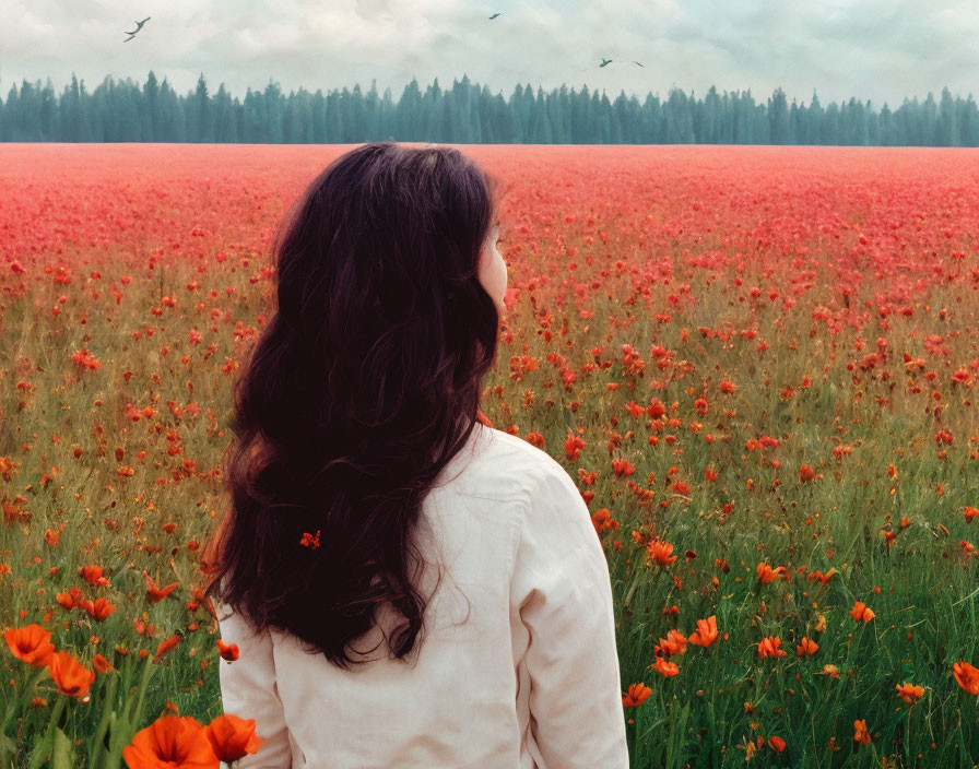 Dark-haired woman admires red poppy field under cloudy sky.