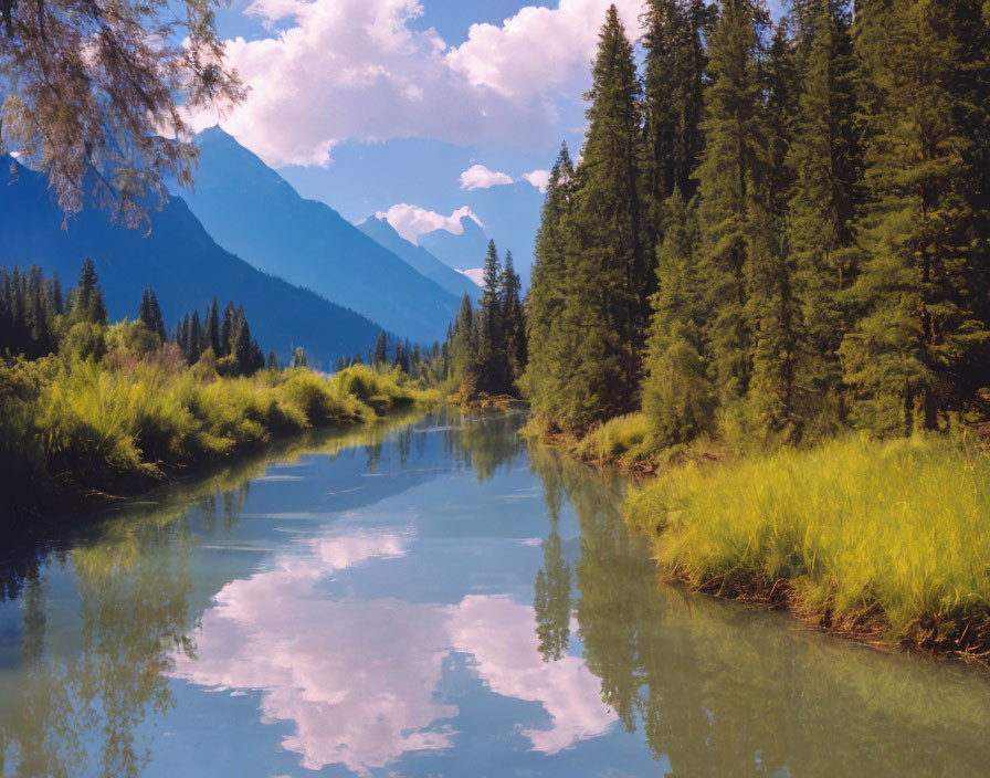 Tranquil river in lush forest with mountains and blue sky