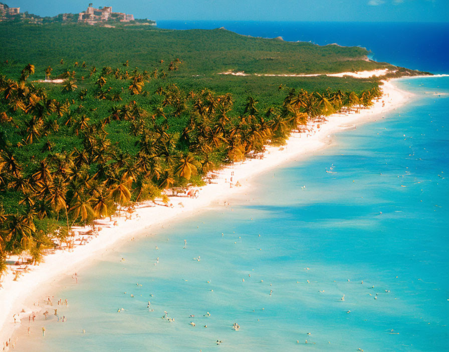 Tropical Beach with Turquoise Waters, Palm Trees, and Ancient Ruins