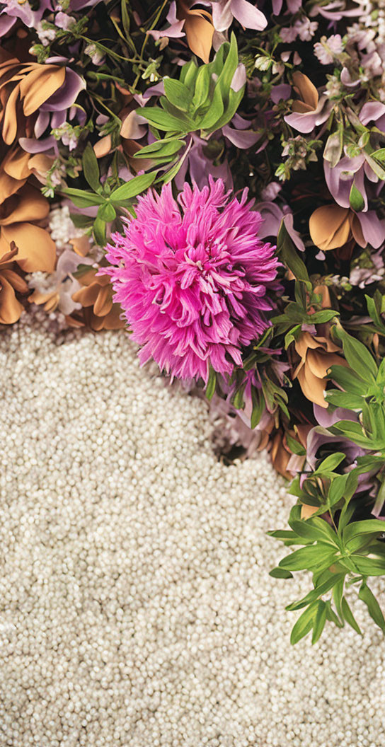 Pink Flower Surrounded by Green Leaves and Brown Petals