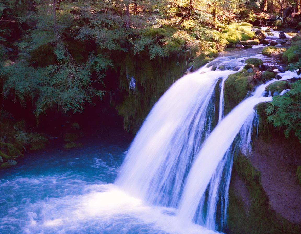 Tranquil waterfall scene with lush greenery and turquoise pool