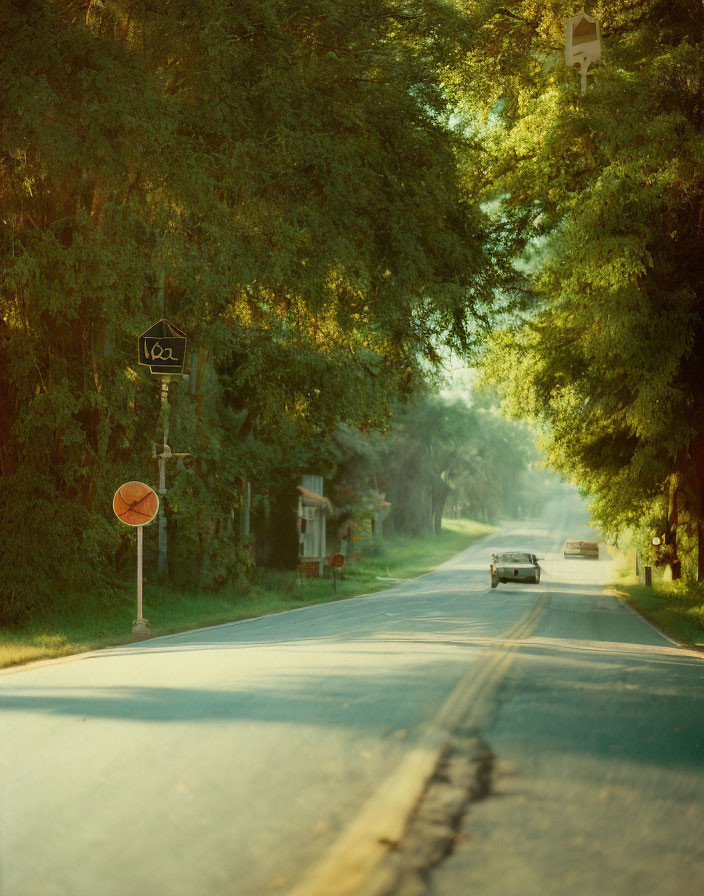 Tranquil street with green trees, streetlamp, and classic car.