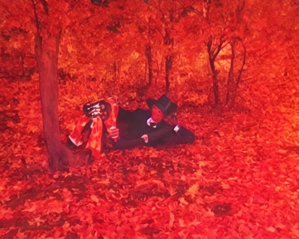 Autumn scene: Two people under vibrant red and orange tree.