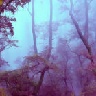 Sunlit Mystical Forest with Purple Flowers