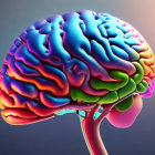 Vibrant Human Brain Illustration with Colorful Gradients