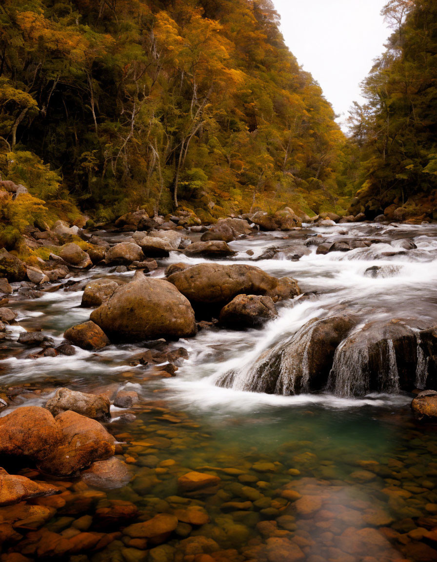 Tranquil river with autumn trees under overcast sky