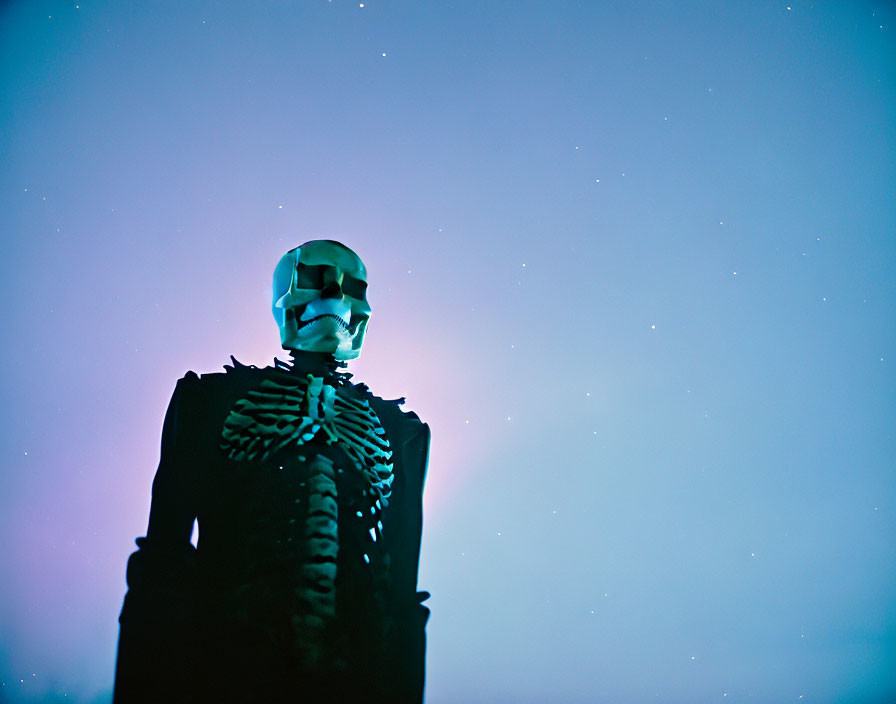 Silhouetted figure in skull mask and skeleton costume under starry sky