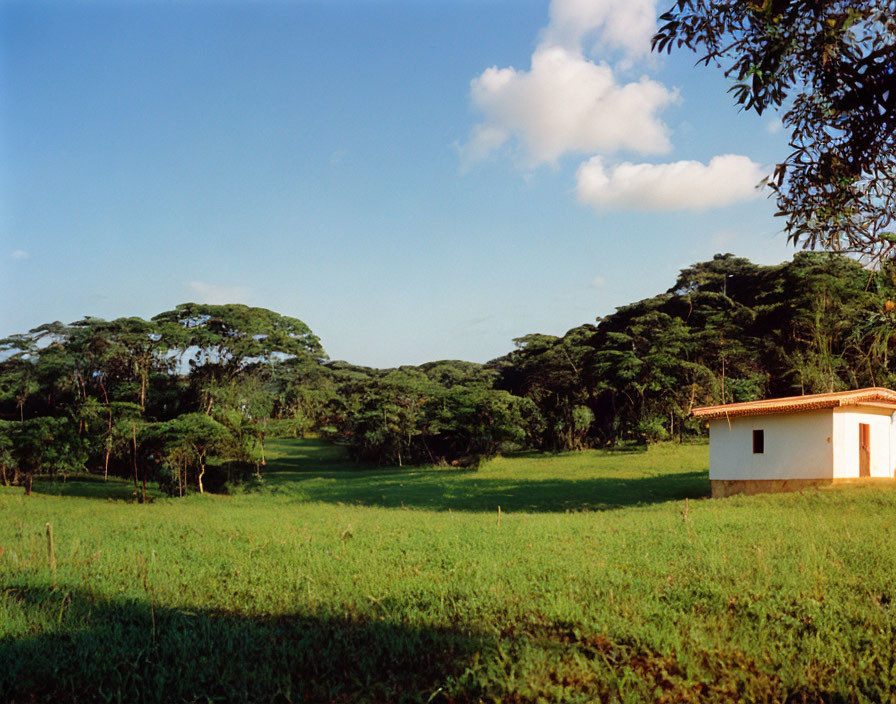 Serene rural landscape with white house, green meadow, trees, blue sky