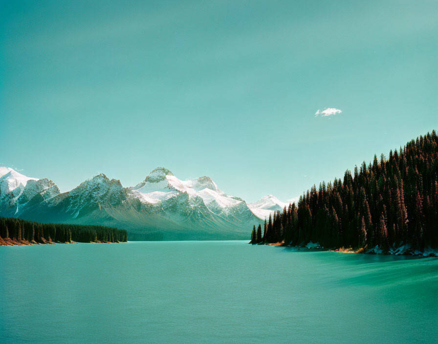 Turquoise Lake, Snow-Capped Mountains, Evergreen Forest & Blue Sky