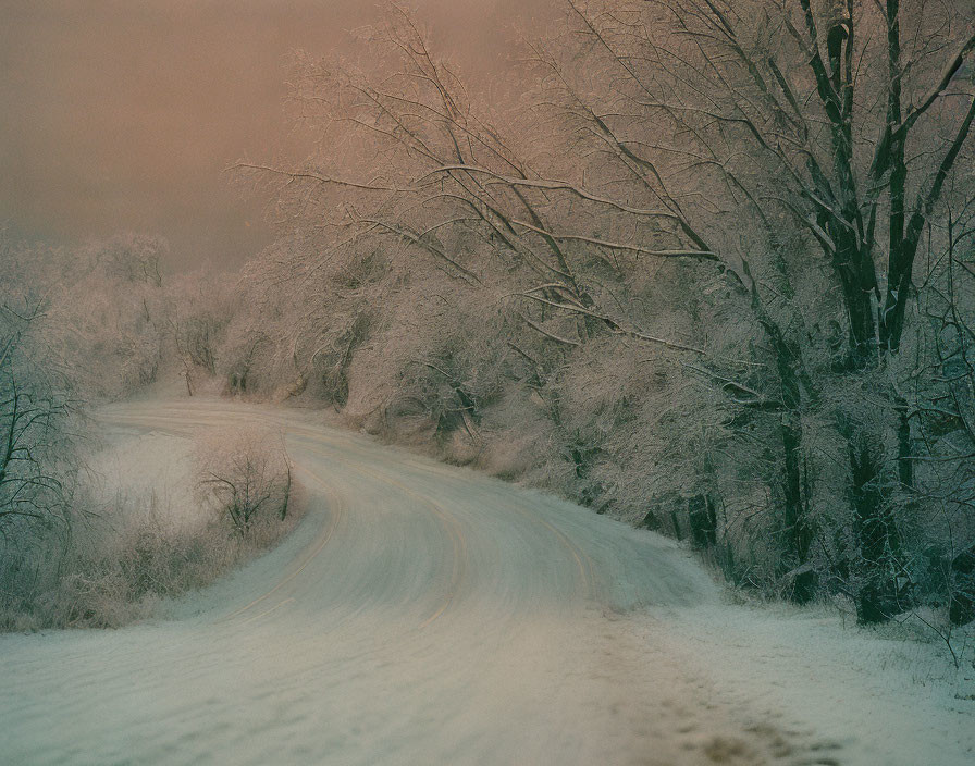 Snow-covered road winding through frost-laden trees under hazy sky