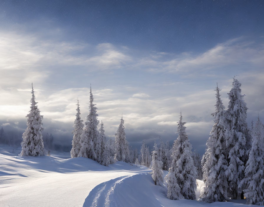 Twilight winter scene: snow-covered trees, starlit sky, serene landscape