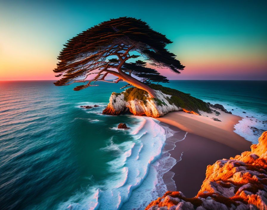 Vibrant lone tree on cliff above turquoise sea at sunset