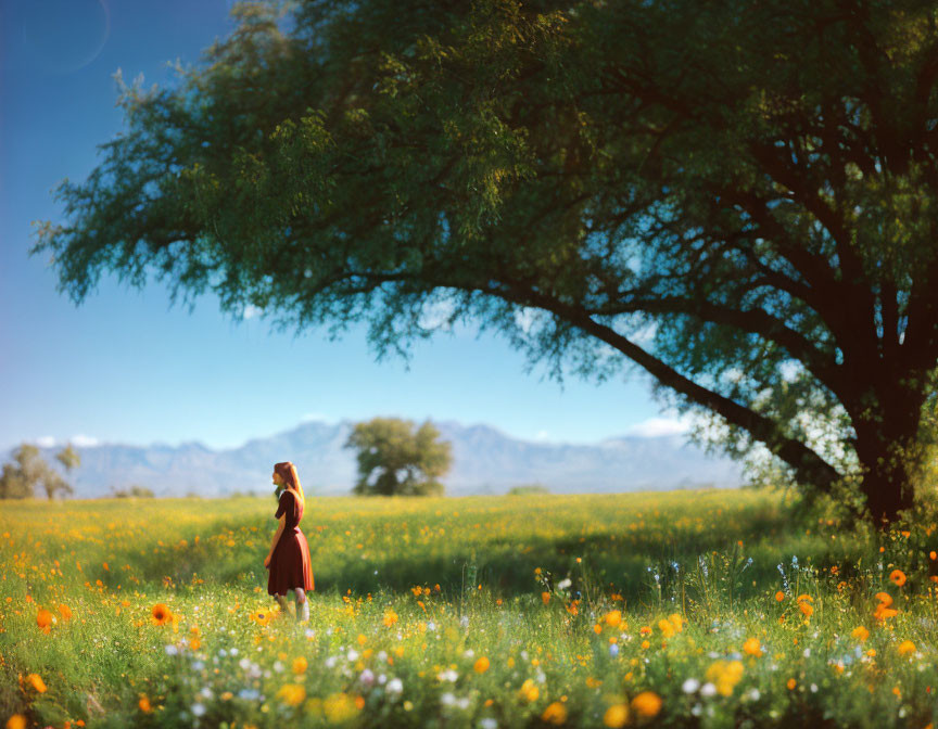 Woman in Red Dress in Sunny Field with Tree and Mountains