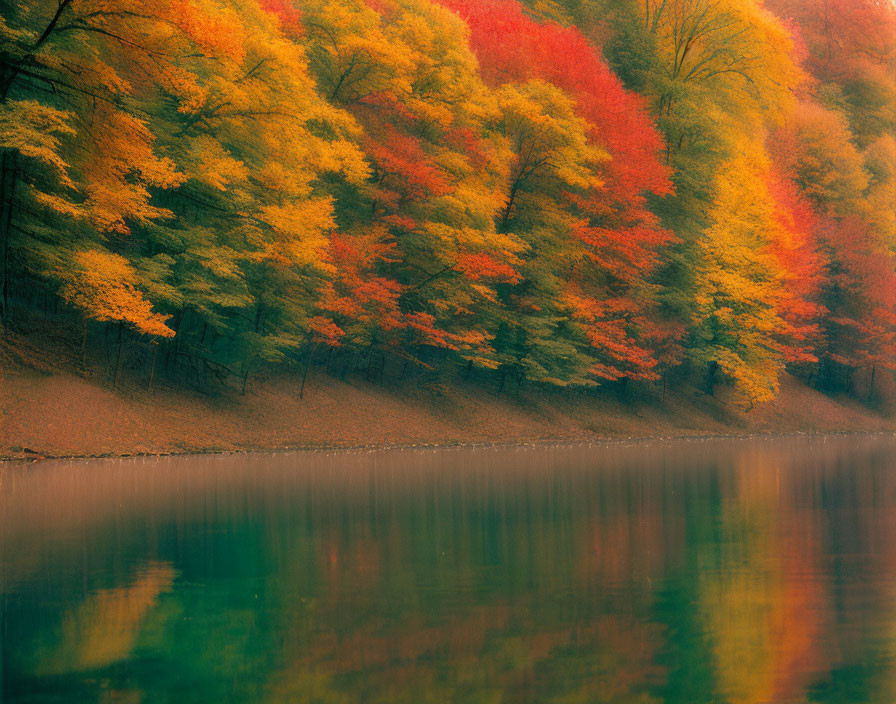 Colorful autumn foliage reflected in calm lake