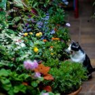 Colorful Bird Surrounded by Flowers and Miniature Houses