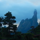 Enchanting forest with towering trees and castles under twilight sky