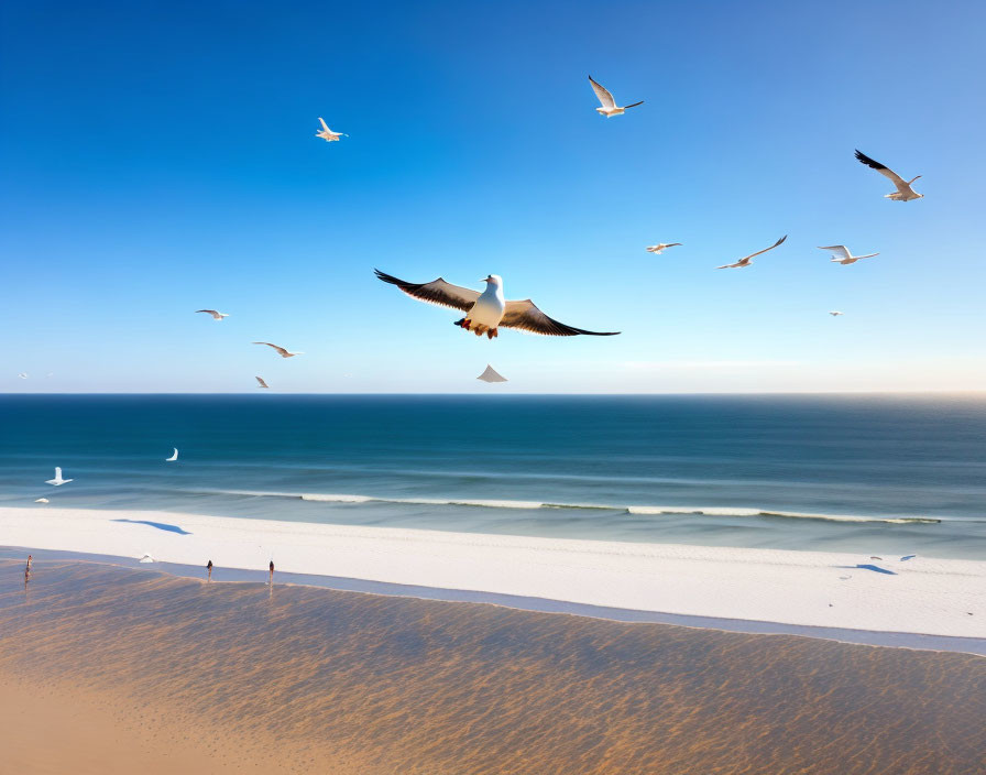 Tranquil beach setting with clear sky, calm sea, white sands, and flying seagulls