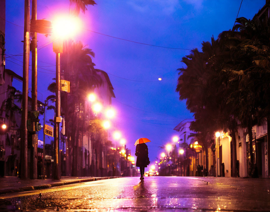 Person with umbrella walks on wet street under twilight sky.